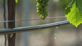 Una historia que no debe terminar: “El Fondo de Transformación y Crecimiento”