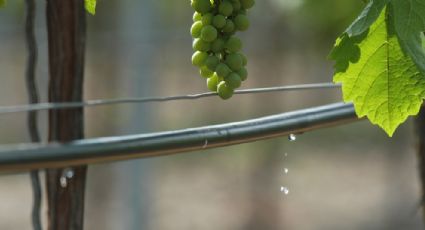 Una historia que no debe terminar: “El Fondo de Transformación y Crecimiento”