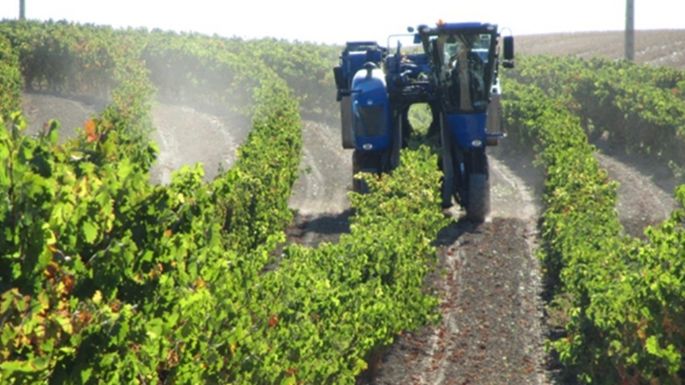 Una historia que no debe terminar: “El Fondo de Transformación y Crecimiento”