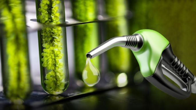 Ante la suba del petróleo, el Gobierno autorizó a usar más etanol en la nafta