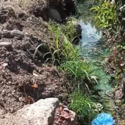 Vecinos denuncian olores "nauseabundos" en una zona de Maipú