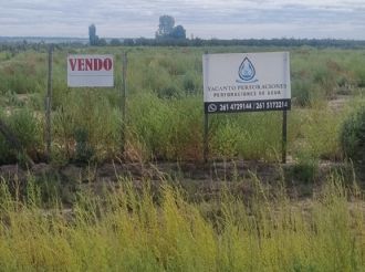 ¿Soto puso en venta la calabaza que Marinelli transformó en carroza?