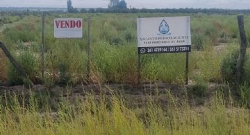 ¿Gustavo Soto puso en venta la calabaza que Sergio Marinelli transformó en carroza?