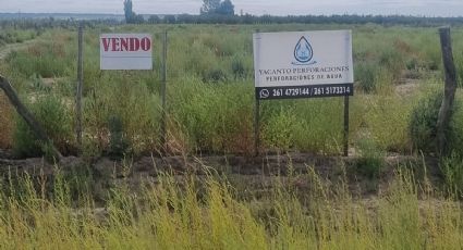 ¿Gustavo Soto puso en venta la calabaza que Sergio Marinelli transformó en carroza?