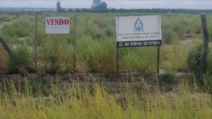 Marinelli dijo que habló con Gustavo Soto por el cartel de venta en su finca