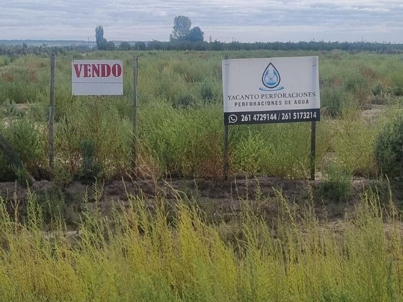 Marinelli dijo que habló con Gustavo Soto por el cartel de venta en su finca
