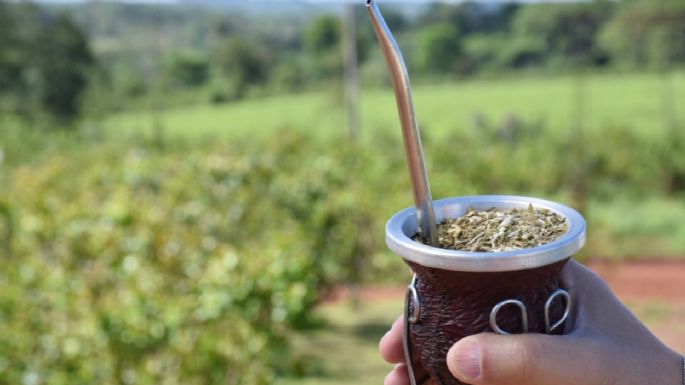 El consumo de yerba mate cayó 9 por ciento en el último año
