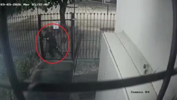 Videos de la zona liberada: el desesperado reclamo de los vecinos de Las Heras ante la ola de robos