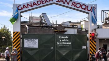 Cerró un frigorífico y despidió a 140 empleados: apuntó contra la “importación sin control"