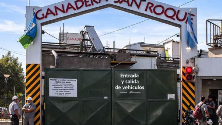 Cerró un frigorífico y despidió a 140 empleados: apuntó contra la “importación sin ningún tipo de control”