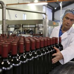 Celebrar rankings no es crear trabajo genuino