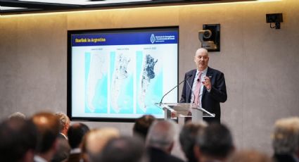 Federico Sturzenegger dio detalles del nuevo plazo fijo UVA