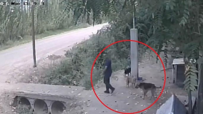 Video: captan el triste momento en que un hombre abandona a un perro en un refugio
