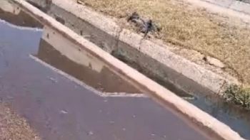 Duró poco el "maquillaje" en Las Heras: acequias desbordadas por líquidos cloacales