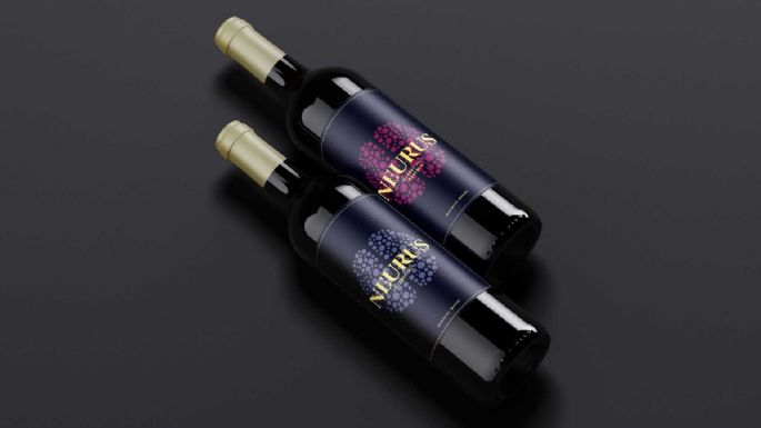 La esposa de Pablo Toviggino construyó un pozo de agua en zona restringida