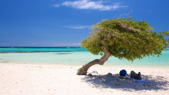 Manuel Adorni viajó a Aruba en primera clase, junto a toda su familia y pagó en efectivo