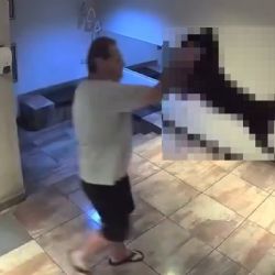 Maltrato animal: detuvieron a un hombre que estrelló a su perro contra el suelo 