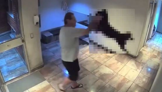 Maltrato animal: detuvieron a un hombre que estrelló a su perro contra el suelo 