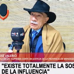 José Valerio: "Yo entiendo que hay interferencia política en la Justicia"