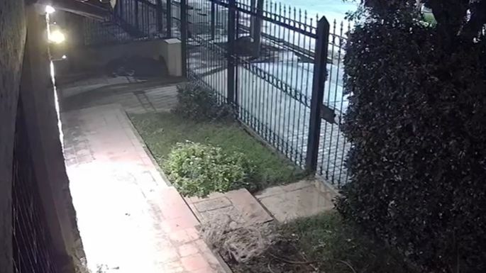 Desconocidos entraron a la casa de familiares de la abogada de la mujer que denunció a D'Agostino