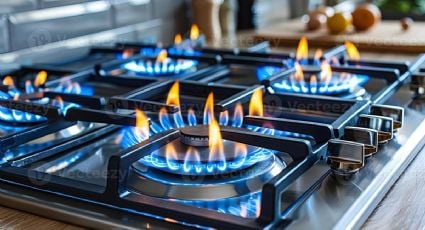 Milei eliminará el Régimen de Zonas Frías y en Mendoza se pagará más caro el gas