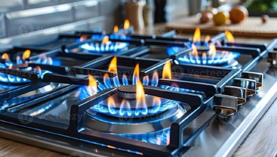 Milei eliminará el Régimen de Zonas Frías y en Mendoza se pagará más caro el gas