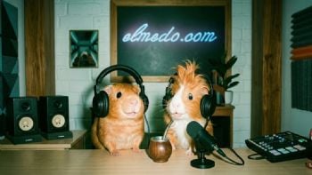 Los Cuyis se acordaron de otro político que viajó a Aruba con la tuya