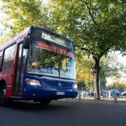 Cambia el recorrido de varias líneas de colectivos por el corte en calle Alberdi