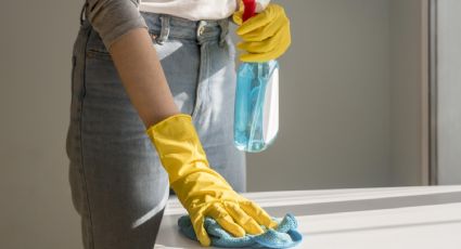 Cuánto cuesta la hora de trabajo de las empleadas domésticas en abril 2026