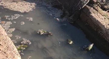 El "maquillaje" de Las Heras para ocultar una emergencia sanitaria en medio de una inauguración