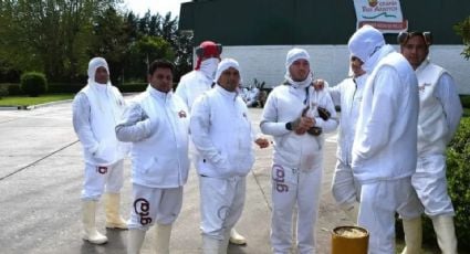 Los trabajadores de Granja Tres Arroyos paralizan la actividad por salarios impagos 