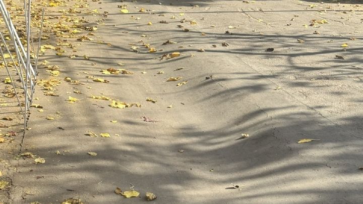 Godoy Cruz: se volvió a hundir una calle que había sido reparada
