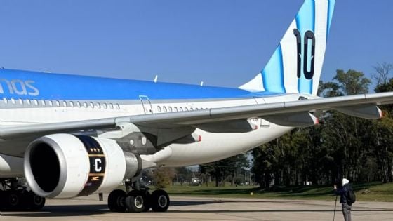 Aerolíneas Argentinas presentó un avión inspirado en la Selección 