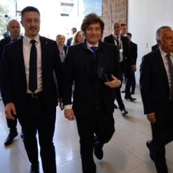 Milei perdió 10 puntos en Mendoza, la mayor demanda es el empleo y Petri es el candidato de mayor potencialidad