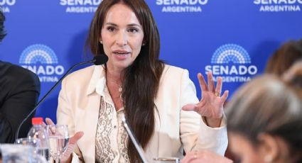 Denunciaron penalmente a Javier Milei por vetar el pliego de una candidata a jueza federal