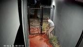 Foto ilustrativa de la nota titulada: Video: vecinos en alerta por una ola de "roba macetas"