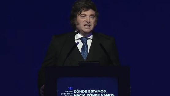 Milei defendió el retiro del pliego de Michelli en el Senado