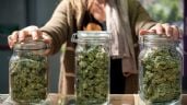 Foto ilustrativa de la nota titulada: La izquierda presentó un proyecto para legalizar el uso de la marihuana