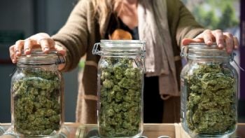 La izquierda presentó un proyecto para legalizar el uso de la marihuana
