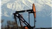 Foto ilustrativa de la nota titulada: ¿Cuáles son las 5 empresas que compiten por el petróleo de Mendoza?