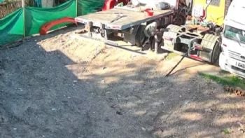 Video: entró a robar a un taller a plena luz del día y lo reconocieron gracias a las cámaras