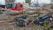 Foto ilustrativa de la nota titulada: Un motociclista murió aplastado por un árbol en Las Heras y otro resultó herido 