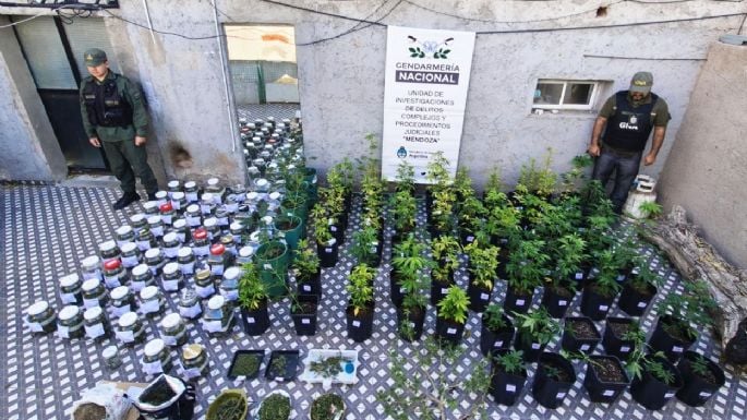 Cayó una organización dedicada al tráfico de personas y armas que operaba entre Mendoza y Chile