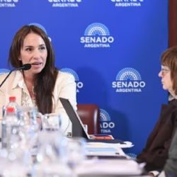 A pesar de la abstención de Bullrich, el Senado aprobó el pliego de Michelli