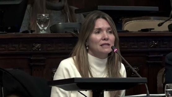 Griselda Petri presentó un proyecto para limitar las inhibiciones en juicios de apremio