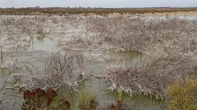 Nuevos problemas para Aysam por el vuelco de efluentes en un descampado
