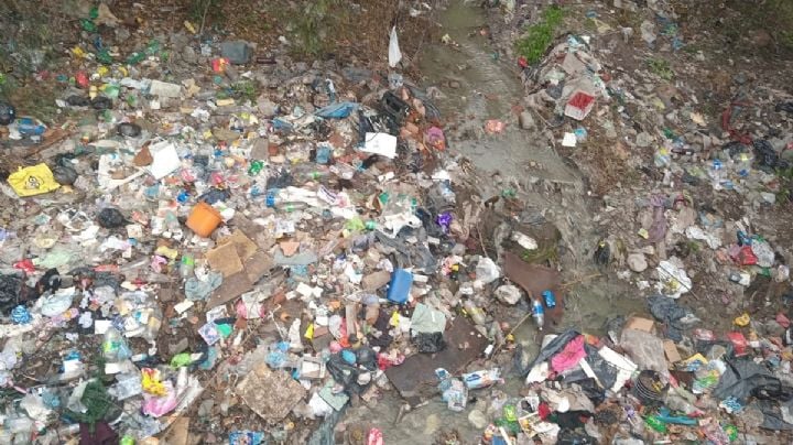 Video: alarmante laberinto de basura en el barrio La Favorita