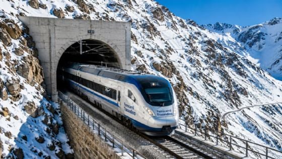 Proponen un plan para reactivar el Ferrocarril Trasandino para 2029