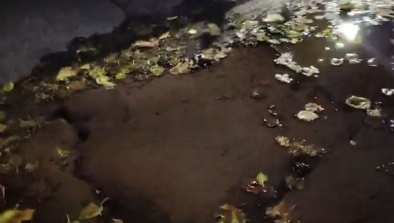 Preocupa una importante pérdida de agua en Ciudad