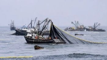 Pesca ilegal: flotas extranjeras extraen hasta 3 millones de toneladas en aguas argentinas